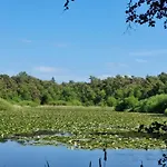 Frauenpreiss-203